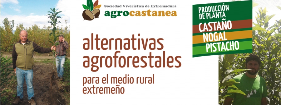 AGROCASTANEA Alternativas Agroforestales para el Medio Rural Extremeño